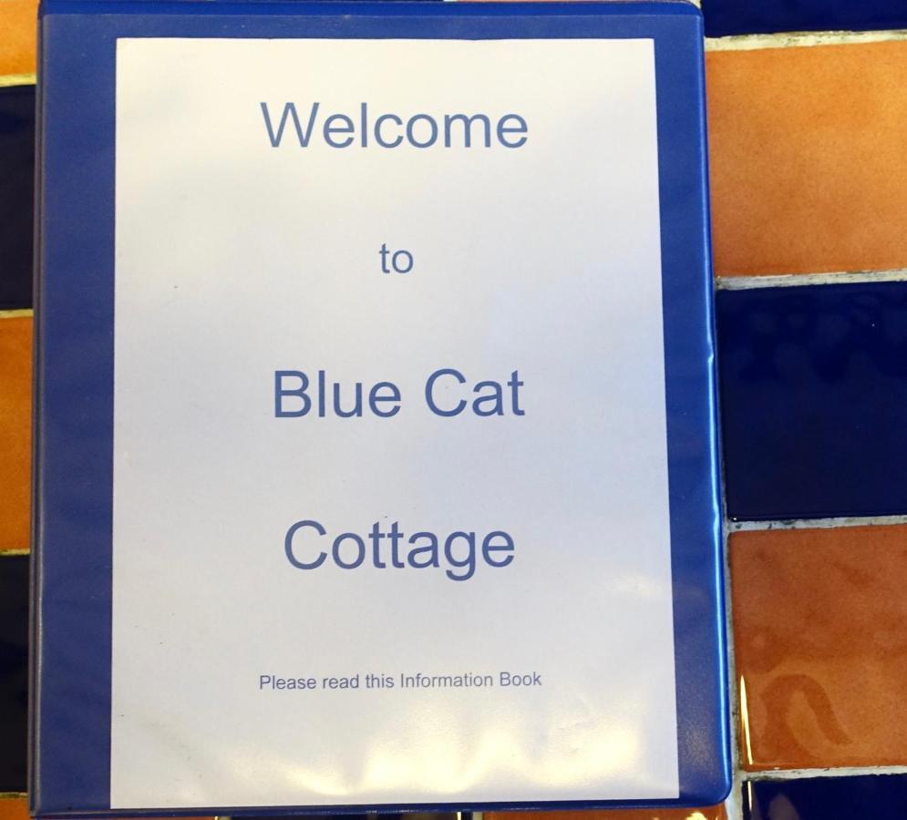 Blue Cat Cottage Penzance Extérieur photo